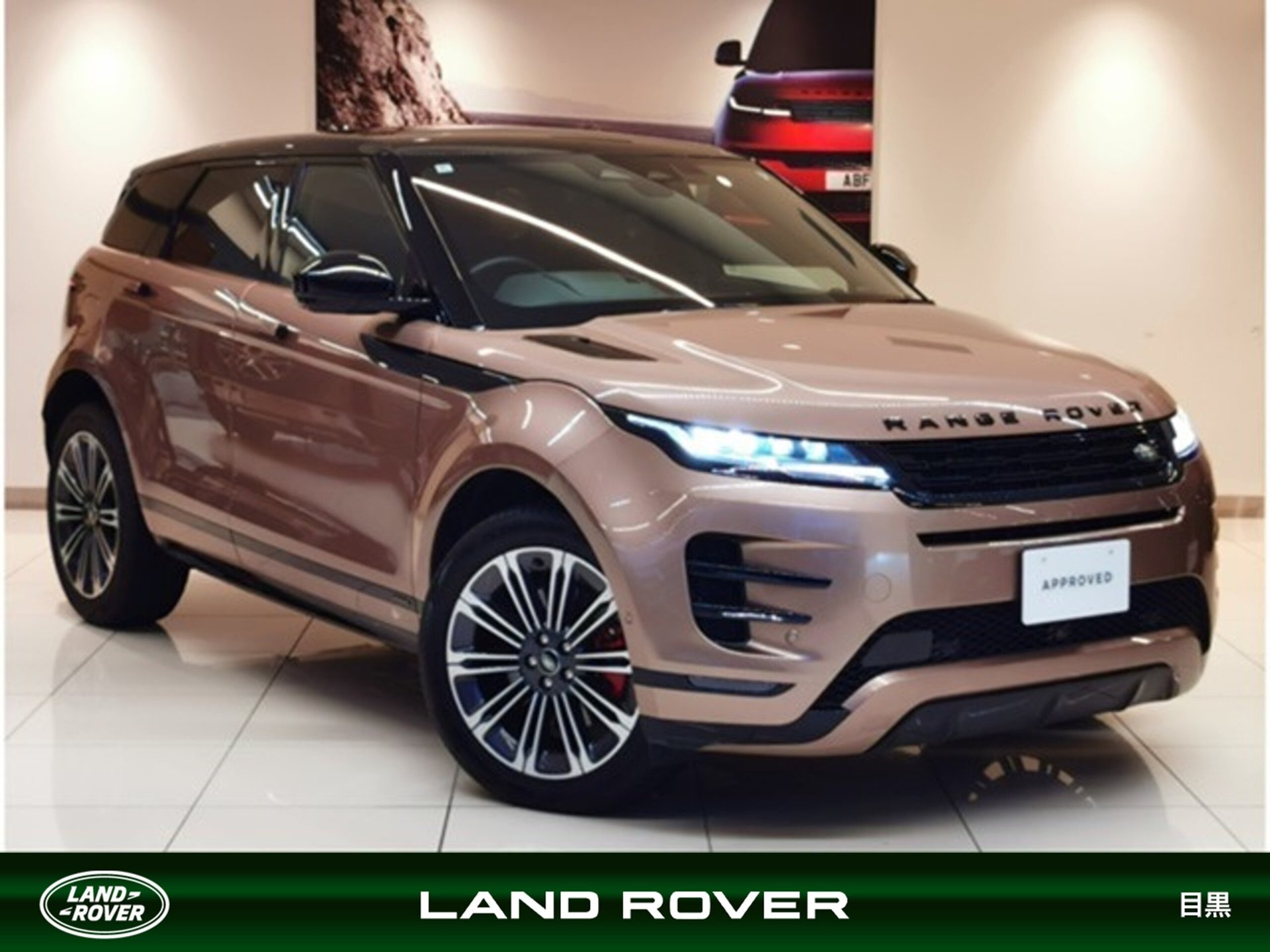 LAND ROVER RANGE ROVER EVOQUE - View 1