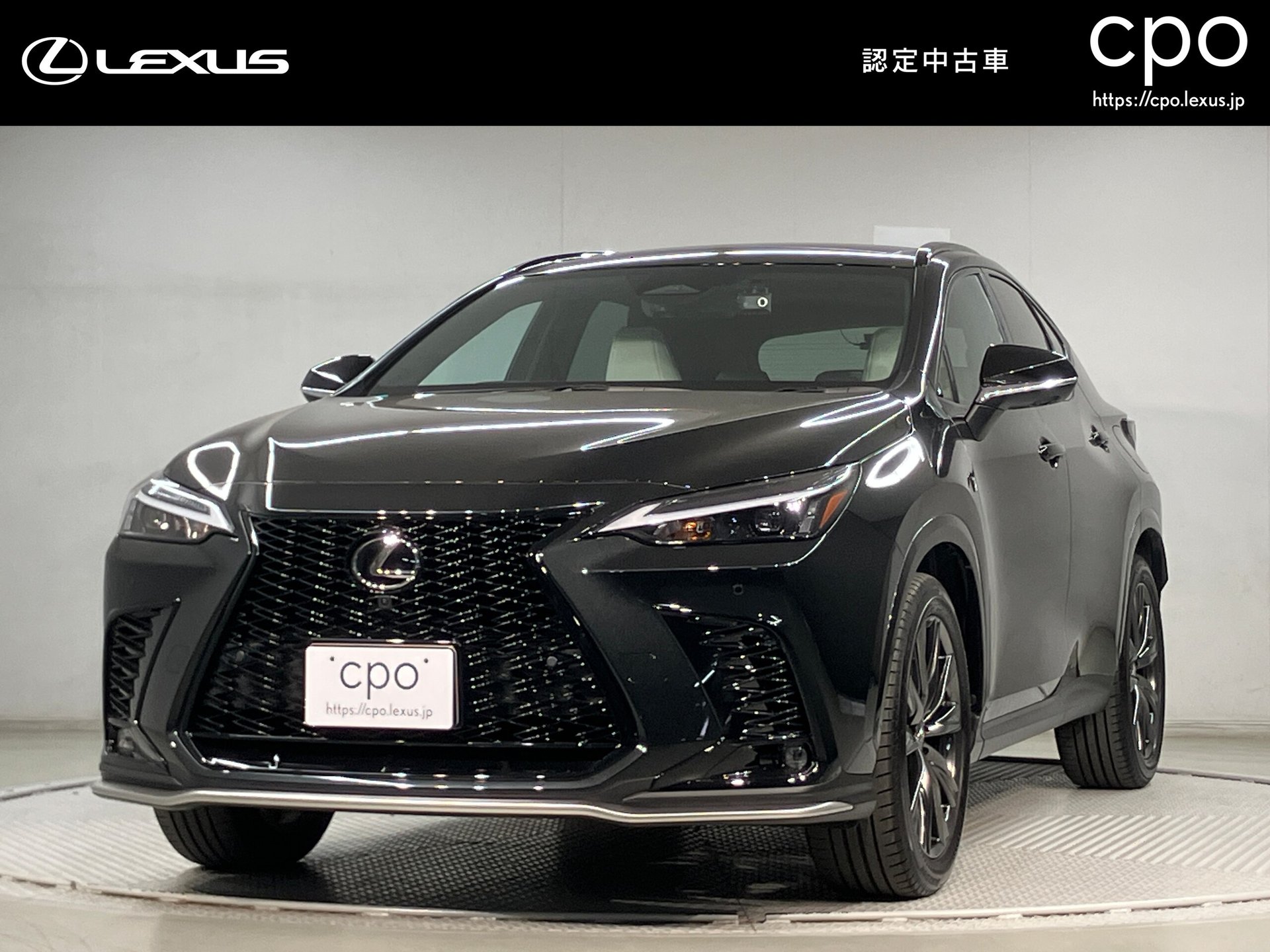 LEXUS NX - View 1