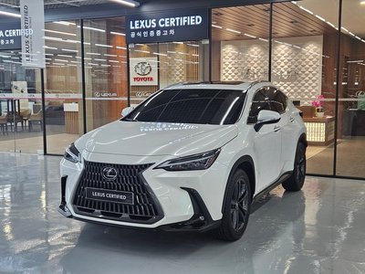 LEXUS NX - 1