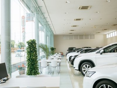 صورة مصغرة 34 لـ 2024 Toyota LAND CRUISER 250