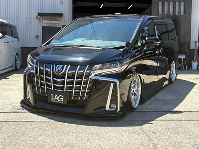 2021 TOYOTA ALPHARD — фото 5