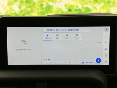 TOYOTA LAND CRUISER 250 - 10