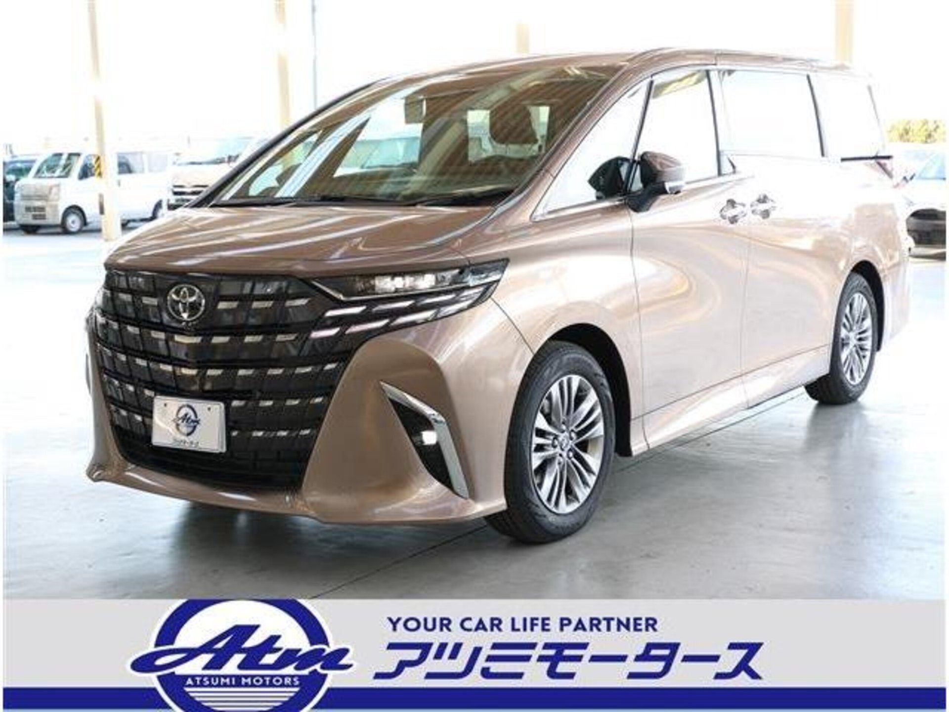 TOYOTA ALPHARD - View 1