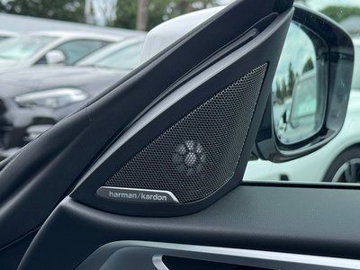 2025 BMW 4 SERIES GRAN COUPE — миниатюра 20