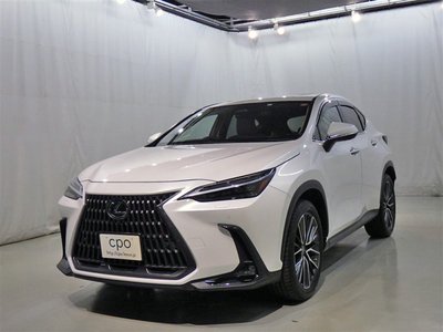 LEXUS NX - 1