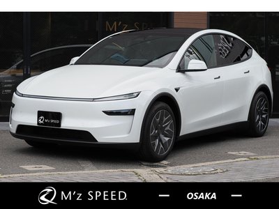 TESLA MODEL Y - 1