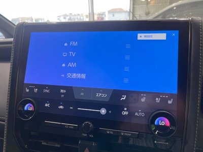 2025 Toyota ALPHARD 缩略图 45