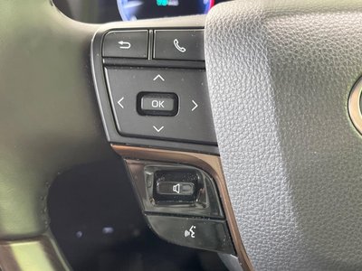 2025 Toyota ALPHARD 缩略图 27