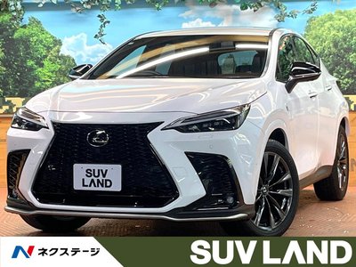 LEXUS NX - 1