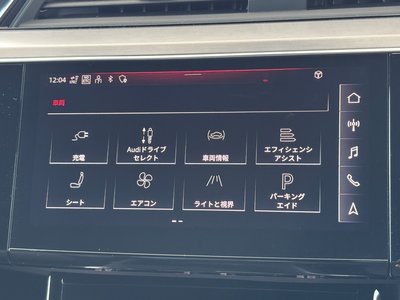 2024 AUDI SQ8 SPORTBACK E-TRON 缩略图 28