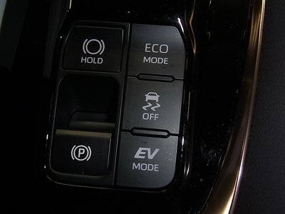 2024 TOYOTA ALPHARD 缩略图 34