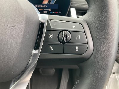 2025 BMW X1 缩略图 44