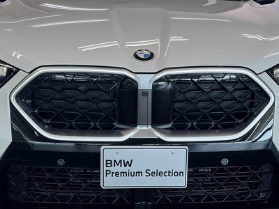 2025 BMW X2 thumbnail 17