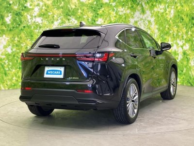 LEXUS NX - 3