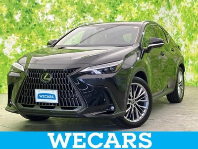 LEXUS NX - 1