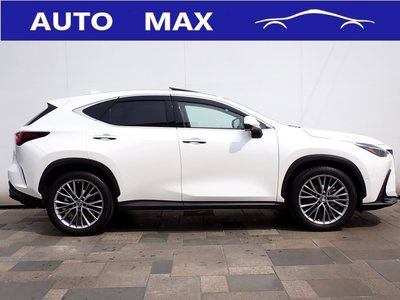 LEXUS NX - 9