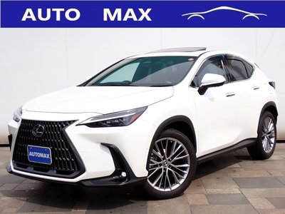 LEXUS NX - 1