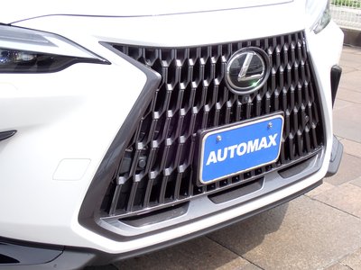 LEXUS NX - 8