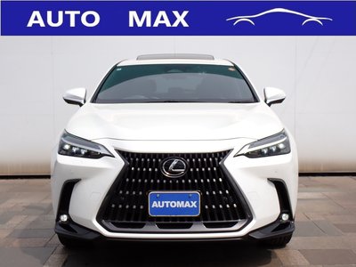 LEXUS NX - 6