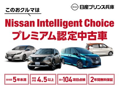 2025 Nissan SKYLINE — миниатюра 53