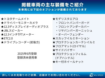 TOYOTA LAND CRUISER 250 - 2