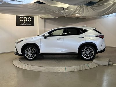 LEXUS NX - 9