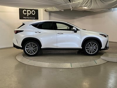 LEXUS NX - 10