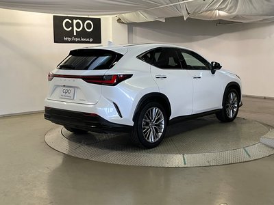 LEXUS NX - 8