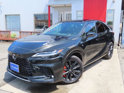 2025 Lexus RX — миниатюра 28