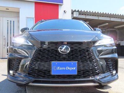 2025 Lexus RX — миниатюра 32