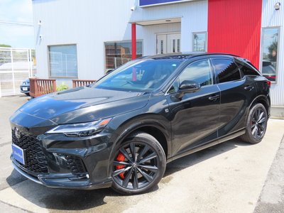2025 Lexus RX — миниатюра 27