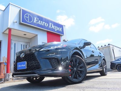 2025 Lexus RX — миниатюра 23