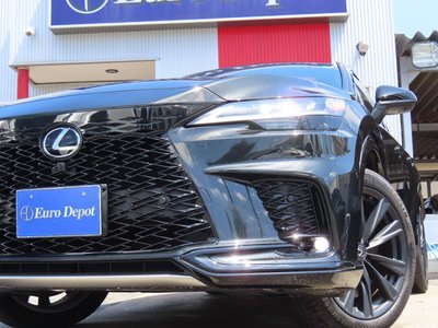 2025 Lexus RX — миниатюра 24