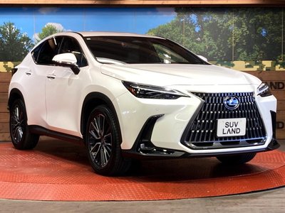 صورة مصغرة 16 لـ 2023 Lexus NX