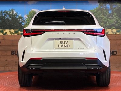 صورة مصغرة 15 لـ 2023 Lexus NX