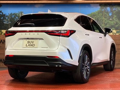صورة مصغرة 17 لـ 2023 Lexus NX