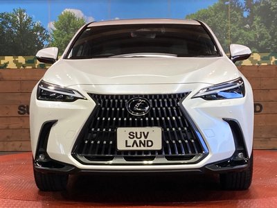 صورة مصغرة 14 لـ 2023 Lexus NX
