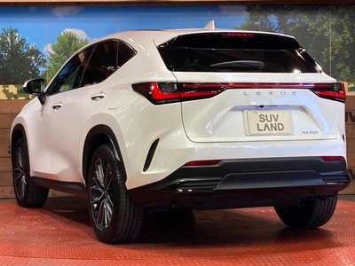 صورة مصغرة 31 لـ 2023 Lexus NX