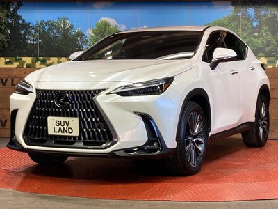 صورة مصغرة 29 لـ 2023 Lexus NX