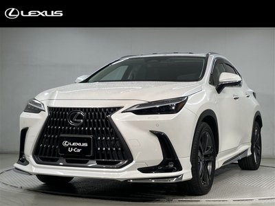 LEXUS NX - 1