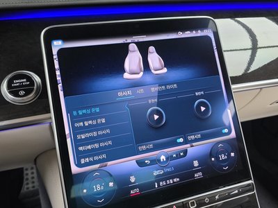 2021 Mercedes-BENZ S-CLASS 缩略图 31
