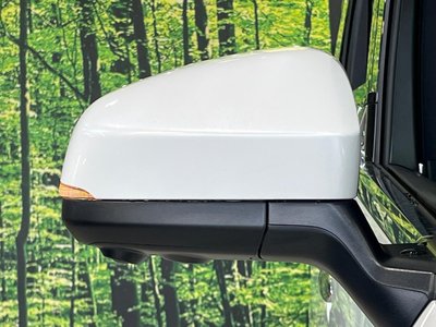 2024 Toyota ALPHARD thumbnail 57