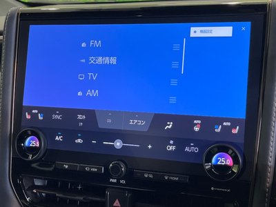 2024 Toyota ALPHARD thumbnail 22