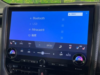 2024 Toyota ALPHARD thumbnail 23