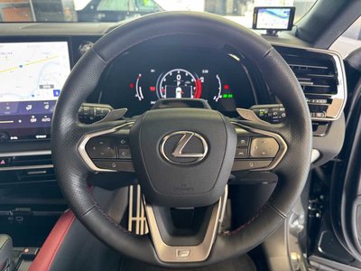 2024 Lexus RX — миниатюра 15