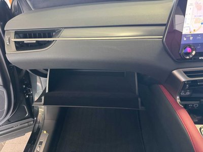 2024 Lexus RX — миниатюра 55