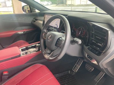 2024 Lexus RX — миниатюра 54