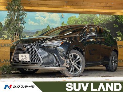 LEXUS NX - 1