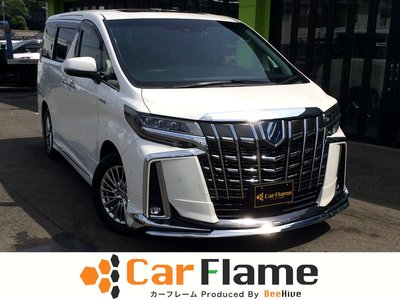 2021 Toyota ALPHARD photo 1
