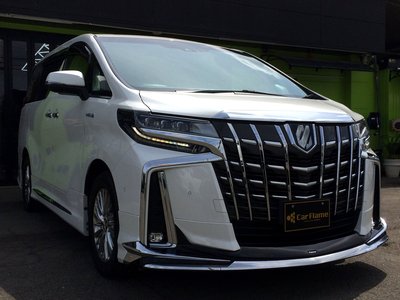 2021 Toyota ALPHARD thumbnail 25